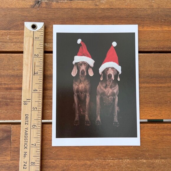 VINTAGE 90s 🐶 WILLIAM WEGMAN WEIMARANER DOG FOTOFOLIO CHRISTMAS CARD . 1995 XMAS - Picture 8 of 8
